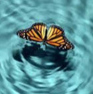 Meet your Posher, Mya